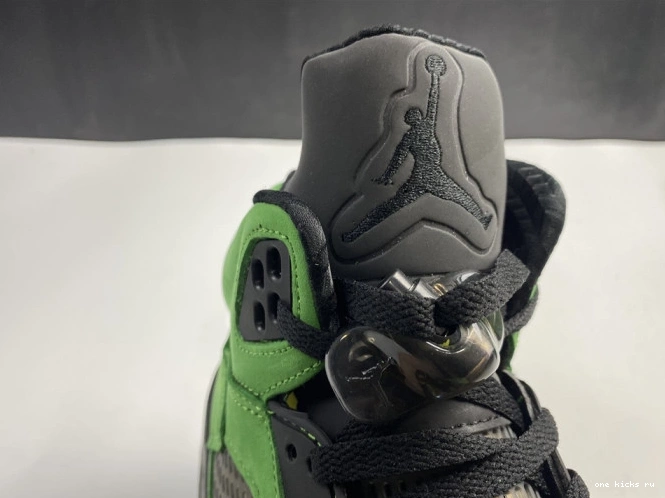 Rep Air Ducks 5 CK6631-307 Jordan SE Oregon 0814
